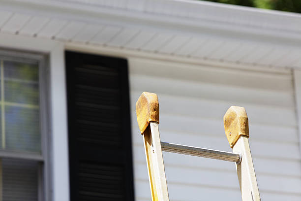 Affordable Siding Repair and Maintenance Services in Belhaven, NC